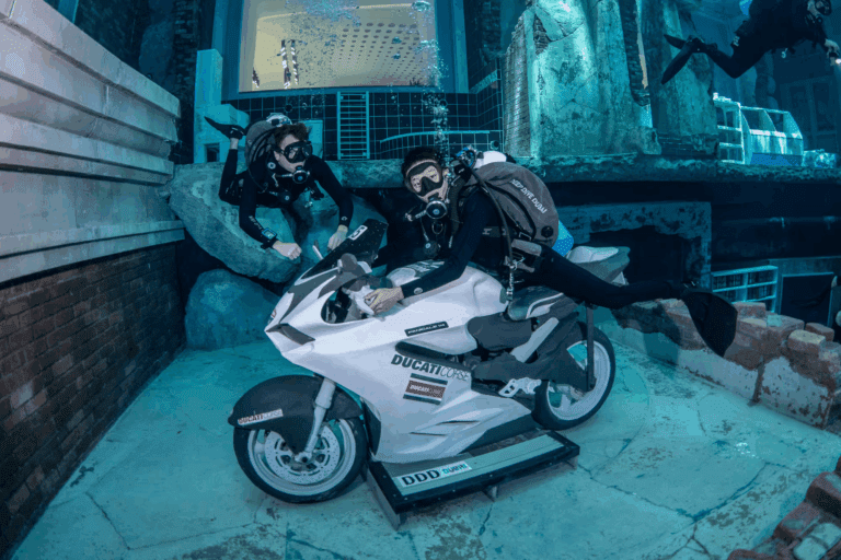 66f29512489430b5d4e0228c_Diving-min