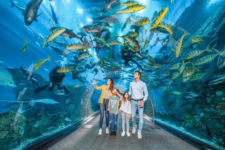 dubai-aquaruim-and-water-zoo-2927924