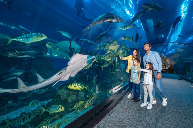 dubai-aquaruim-and-water-zoo-dubai_1