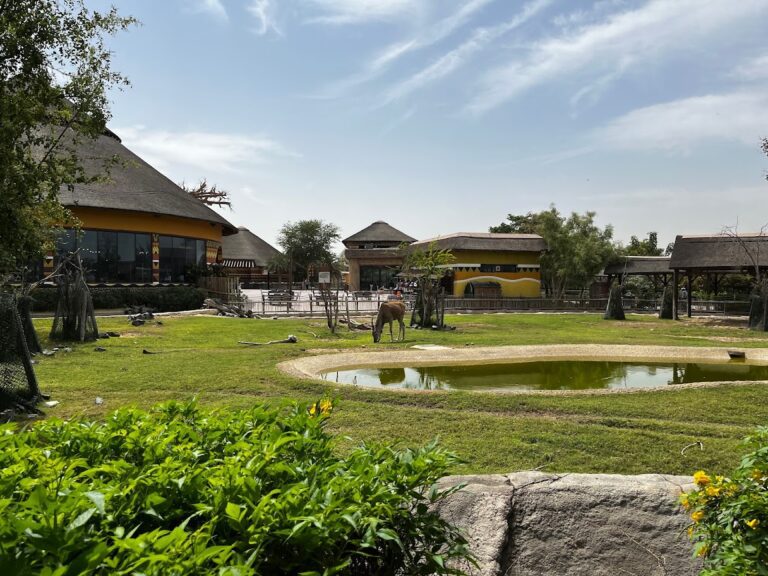 dubai-safari-park-dubai_7