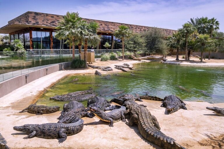 crocodile-park-1